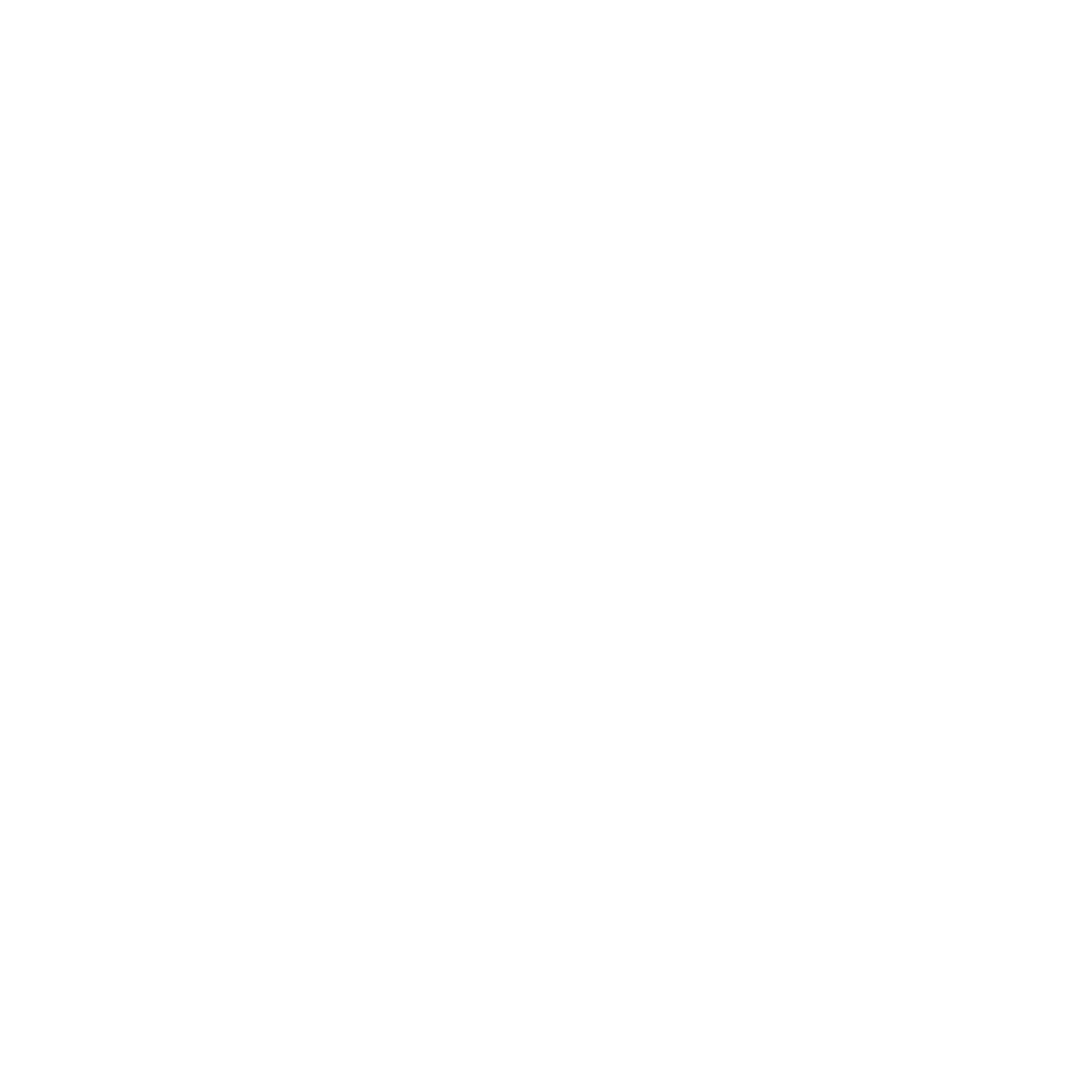 Logo de Sanus Vita Sport